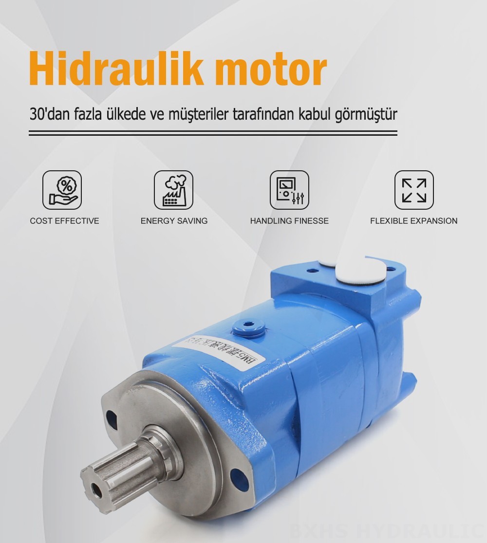 BM3_Sikloid Hidrolik Motor 100 cc/r 50 L/dakika Hidrolik Motor